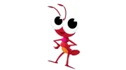 First Florida Termite and Pest Control