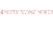 Absolute Wildlife Removal