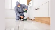 Cyclone Pest Management