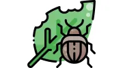 B & C Pest Control