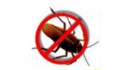 Marin Exterminating