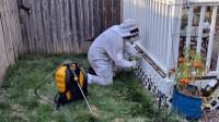 Hawkeye Exterminating