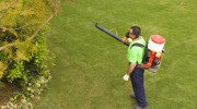 Mosquito Control