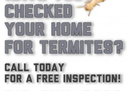 Call us for your free termite inspection at 310-844-0999