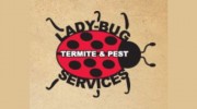 Lady Bug