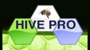 Hive Pro