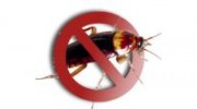 Best For Less Pest Control