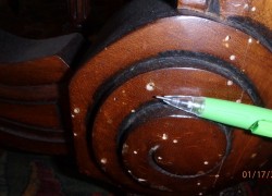 Wood beetle damage to antique table