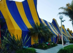 Large 7 unit townhouse fumigation