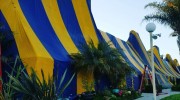 Fumigation Services