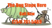 Pest Control Service - Temple