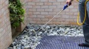 Commercial Pest Control