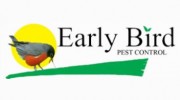 Early Bird