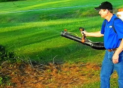 Exterminators
