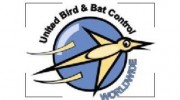United Bird & Bat Control