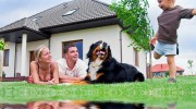 Outdoor Pest Control
